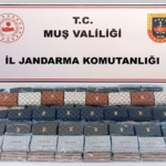 Mardin'de Alacak Verecek Kavgası: 7 Yaralı! thumbnail