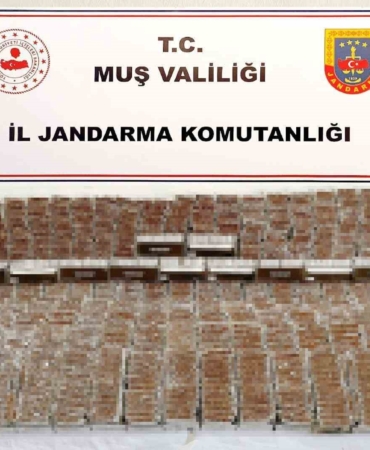 musta-40-bin-dolu-makaron-ele-gecirildi-sok-eden-gelisme-akPXuOHt.jpg