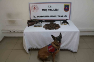 musta-tezek-yigininin-altinda-bulunan-silah-ve-muhimmat-sasirtti-KCvHVpCL.jpg