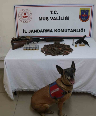 musta-tezek-yigininin-altinda-bulunan-silah-ve-muhimmat-sasirtti-KCvHVpCL.jpg
