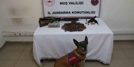 Muş'ta Tezek Yığınının Altında Bulunan Silah ve Mühimmat Şaşırttı Muş’ta Tezek Yığınının Altında Bulunan Silah ve Mühimmat Şaşırttı