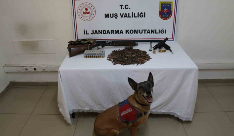 musta-tezek-yigininin-altinda-bulunan-silah-ve-muhimmat-sasirtti-KCvHVpCL.jpg