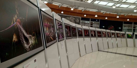 Osmanlı Modasının İzinde: Kutnu Kumaş Sergisi Ziyaretçilerini Büyülüyor