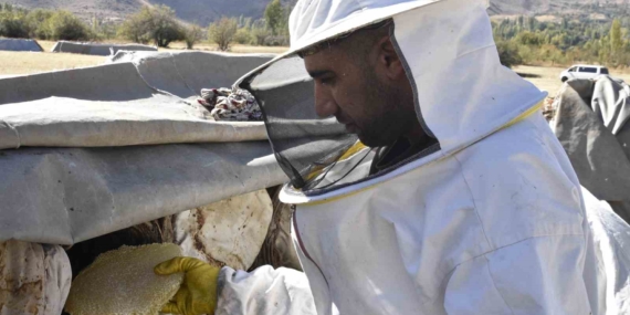 Uluslararası Ödüllü Bitlis Karakovan Balında Hasat Zamanı: Eşsiz Lezzetlerin Peşinde Uluslararası Ödüllü Bitlis Karakovan Balında Hasat Zamanı: Eşsiz Lezzetlerin Peşinde
