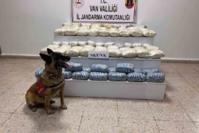 vanda-47-kilo-skunk-madde-ele-gecirildi-uyusturucu-operasyonu-basariyla-sonuclandi-dyCSDDhj.jpg