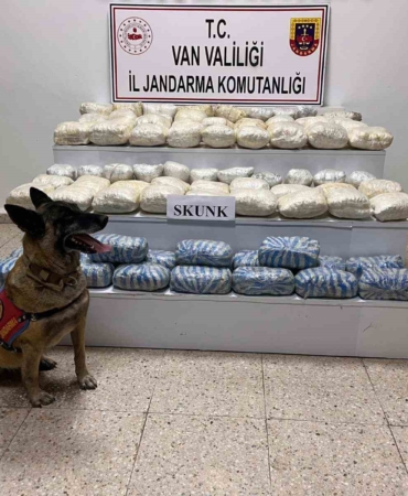 vanda-47-kilo-skunk-madde-ele-gecirildi-uyusturucu-operasyonu-basariyla-sonuclandi-dyCSDDhj.jpg