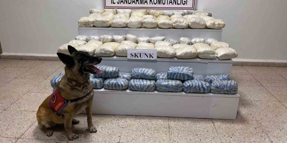 Van'da 47 Kilo Skunk Madde Ele Geçirildi: Uyuşturucu Operasyonu Başarıyla Sonuçlandı Van’da 47 Kilo Skunk Madde Ele Geçirildi: Uyuşturucu Operasyonu Başarıyla Sonuçlandı