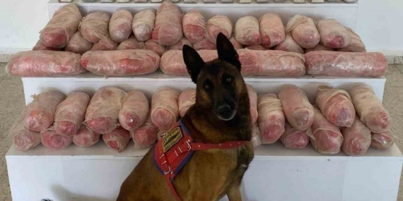Van'da 67 Kilogram Uyuşturucu Operasyonu: Başarılı Ele Geçirme Van’da 67 Kilogram Uyuşturucu Operasyonu: Başarılı Ele Geçirme