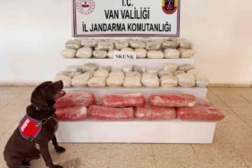 vanda-rekor-619-kilogram-skunk-operasyonu-ZYh6by5r.jpg
