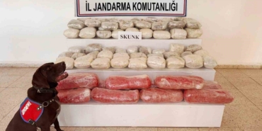 vanda-rekor-619-kilogram-skunk-operasyonu-ZYh6by5r.jpg