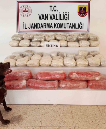 vanda-rekor-619-kilogram-skunk-operasyonu-ZYh6by5r.jpg