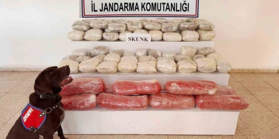 Van'da Rekor 61,9 Kilogram Skunk Operasyonu Van’da Rekor 61,9 Kilogram Skunk Operasyonu