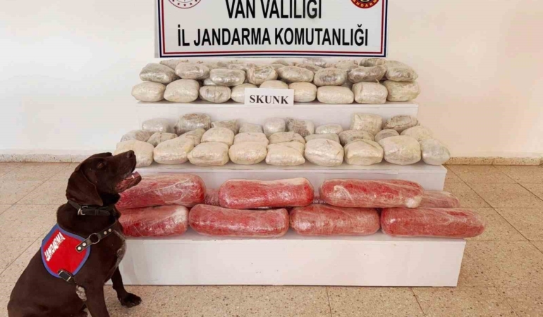 vanda-rekor-619-kilogram-skunk-operasyonu-ZYh6by5r.jpg
