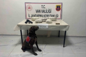 vanda-uyusturucu-operasyonu-4-kilo-311-gram-skunk-ve-gumruk-kacagi-malzeme-ele-gecirildi-WIpH5GQq.jpg