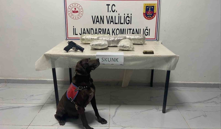vanda-uyusturucu-operasyonu-4-kilo-311-gram-skunk-ve-gumruk-kacagi-malzeme-ele-gecirildi-WIpH5GQq.jpg