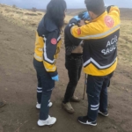 Elazığ’da ceviz hasadı başladı thumbnail