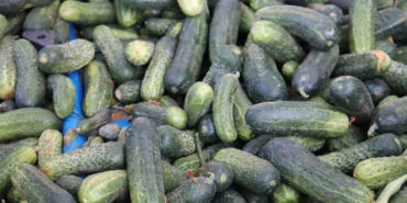 Zehir Zamlar: Vatandaş Yüksek Fiyatlara Rağmen Alışverişten Vazgeçmiyor zehir-zamlar-vatandas-yuksek-fiyatlara-ragmen-alisveristen-vazgecmiyor-dJZyIC8H.jpg