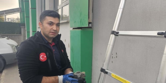 Batman’da Kolonlardan Kurtarılan Kuş: Hayata Dönüş Ümidimiz