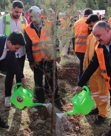 depsas-enerjiden-makam-dagina-3-bin-fidana-yesil-bir-dokunus-epb7gY6J.jpg