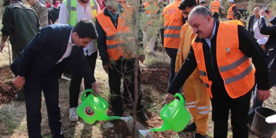 DEPSAŞ Enerji’den Makam Dağı’na 3 Bin Fidana Yeşil Bir Dokunuş