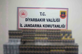 diyarbakirda-kacakcilik-operasyonlari-10-bin-dolu-makaron-ve-3-bin-paket-sigara-ele-gecirildi-2ZHR4L9L.jpg
