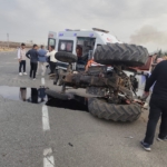 Muş'ta Jandarma Kontrolünde Ele Geçirilen Çalıntı Büyükbaş Hayvanlar thumbnail