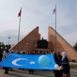 Aras EDAŞ Ekipleri, Direkte Mahsur Kalan Kediyi Kurtardı thumbnail