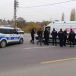 Van'da Kurt Saldırısı: 111 Koyun Hayatını Kaybetti thumbnail