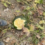 Elazığ Nurettin Ardıçoğlu Kültür Merkezi Mart Ayı Etkinlikleri thumbnail