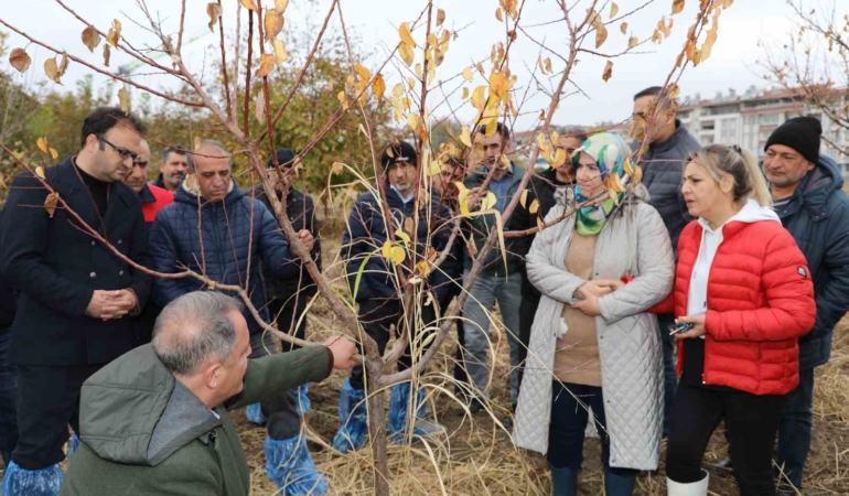 elazigda-agac-budama-ve-asilama-egitimi-doganin-yeniden-canlanmasi-icin-adimlar-Hu332PEY.jpg
