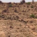 Gaziantep'te Okul Çevrelerinde Dron Teknolojisiyle Güvenlik Uygulamaları thumbnail