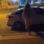 Gündüz Terzi, Akşam Bilardo Şampiyonu: Hayatın İki Yüzü thumbnail