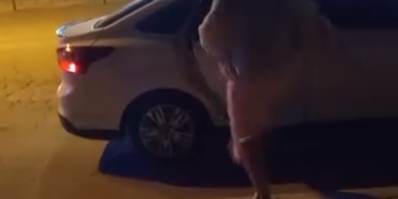 Elazığ’da Kadın, Tartıştığı Kişinin Aracına Darp Etti