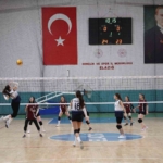 Elazığ'da Biçerdöver Denetimleri ve Hasat Süreci Devam Ediyor thumbnail