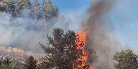 Erzurum’da Yaşanan Orman Yangını: Doğanın Felaketi