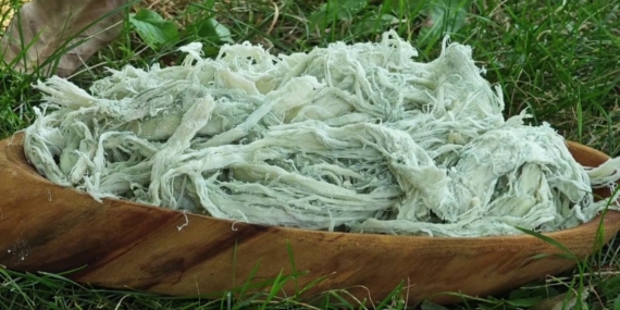 Erzurum’un Göğermiş Peyniri: Doğal Antibiyotik Yayladan Sofraya