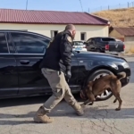 Elazığ'da YKS Coşkusu Tüm Hızıyla Devam Ediyor thumbnail