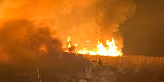 Hakkari’nin Kuş Cenneti: Yangın Felaketi