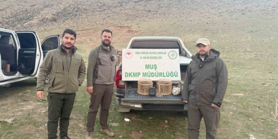 Kafes Avcılığı Yapan Şahıs Suçüstü Yakalandı: 20 Bin TL Ceza Aldı