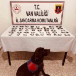 Zorlukları Yenip Büyüyen Umut: Fatma'nın Okuma Aşkının Hikayesi thumbnail