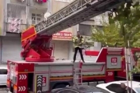 kedinin-agacta-mahsur-kalmasi-kurtarma-seferberligi-4AuTBPIG.jpg