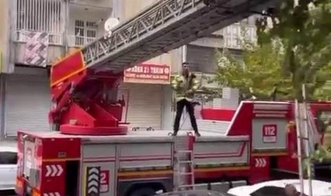 Kedinin Ağaçta Mahsur Kalması: Kurtarma Seferberliği