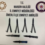 Siirt'te Sahte Pasaportla Yakalanan 4 Düzensiz Göçmen thumbnail