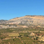 Kameralara Yansıyan Olay: Ceviz Çalan Karga thumbnail