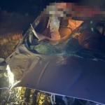 Elazığ'da 4 Katlı Apartmanda Yangın Alarmı: Paniğe Neden Oldu! thumbnail