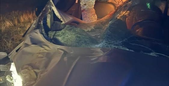 Muş’ta Hafif Ticari Araç Ata Çarptı: 2 Yaralı Durumu! – Bir Kaza Hikayesi