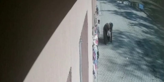 Öğrencisine Heimlich Manevrası ile Hayat Veren Kahraman Öğretmen