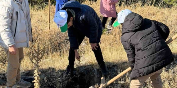 Sivrice’de Ağaçlandırma Seferberliği: Fidan Dikme Etkinliği Gerçekleşti