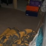 Mardin'de Heimlich Manevrası ile Kurtarılan Öğrenci: Nefes Borusuna Yiyecek Kaçtı thumbnail