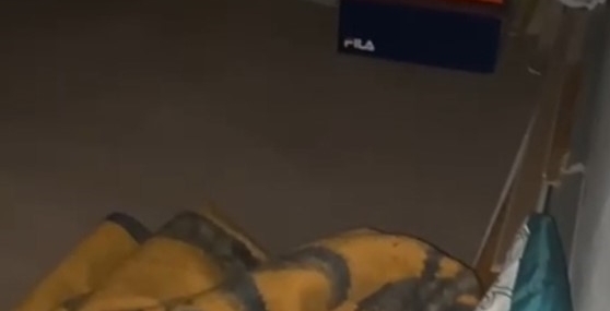 Van’da 12,5 Yıl Hapis Cezası Olan Müdür Gizli Bölmede Yakalandı!